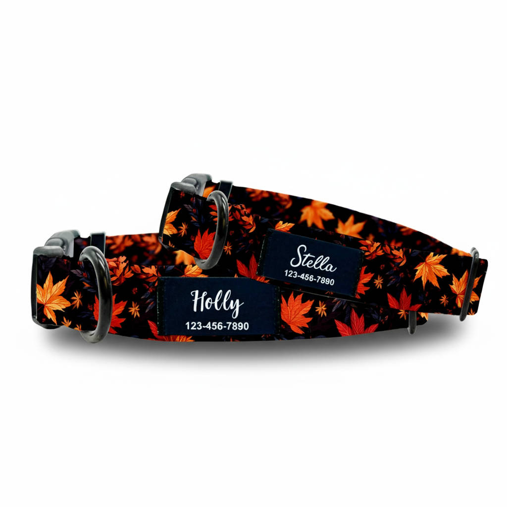 Autumn Leaves Dog Collar