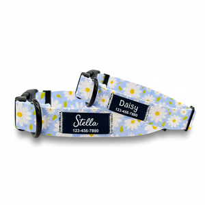 Blue Daisy Dog Collar