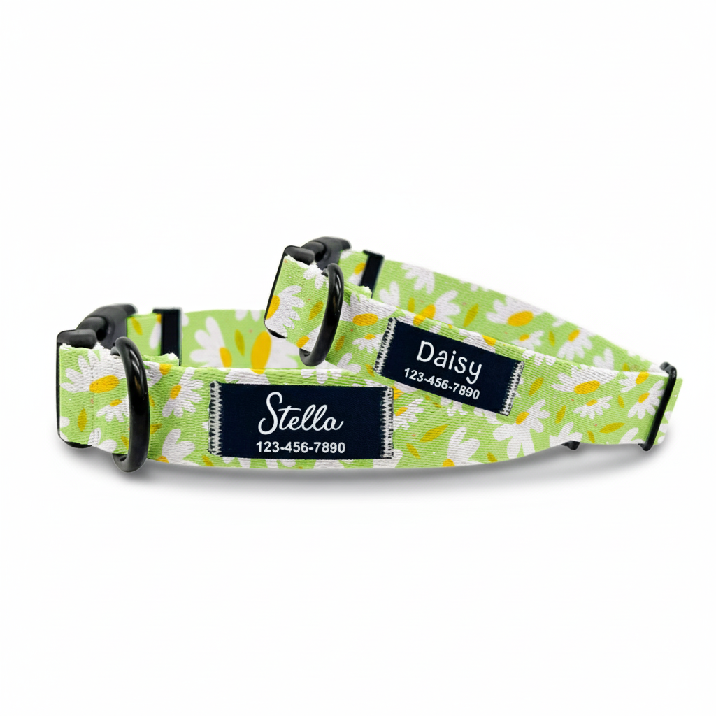 Green Daisy Dog Collar