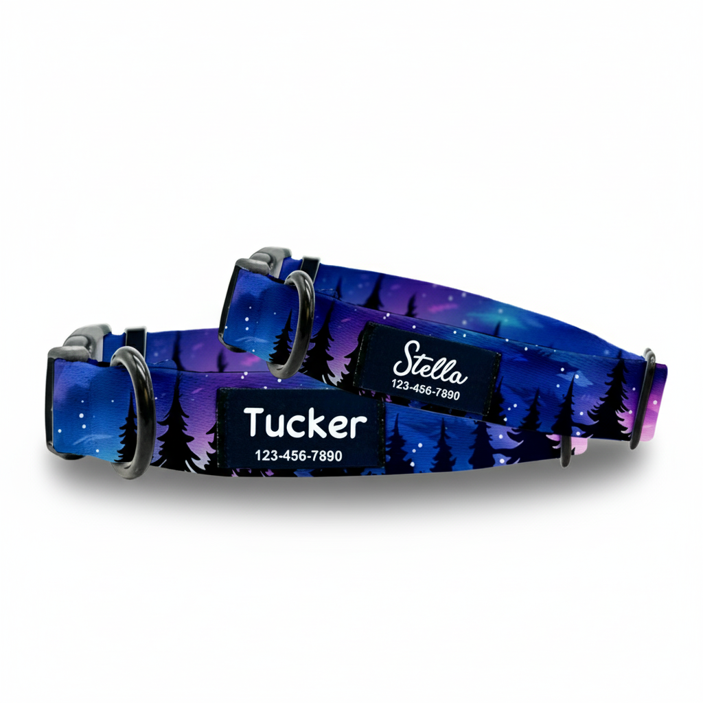 Purple_Forest_Dog_Collar