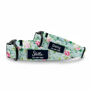 Rose_Dog_Collar
