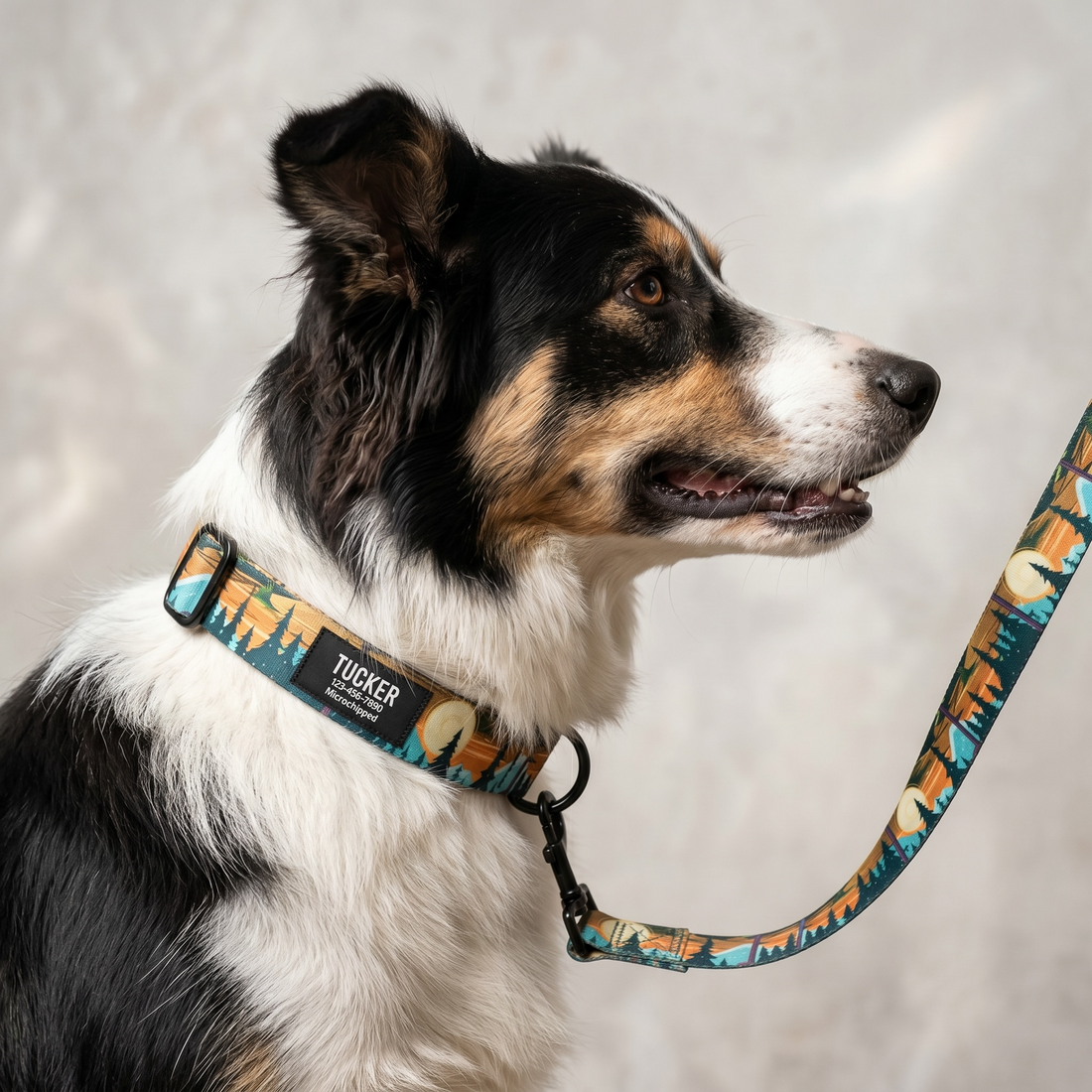 PAWSWIN recycled nylon dog collar designed for lightweight everyday wear