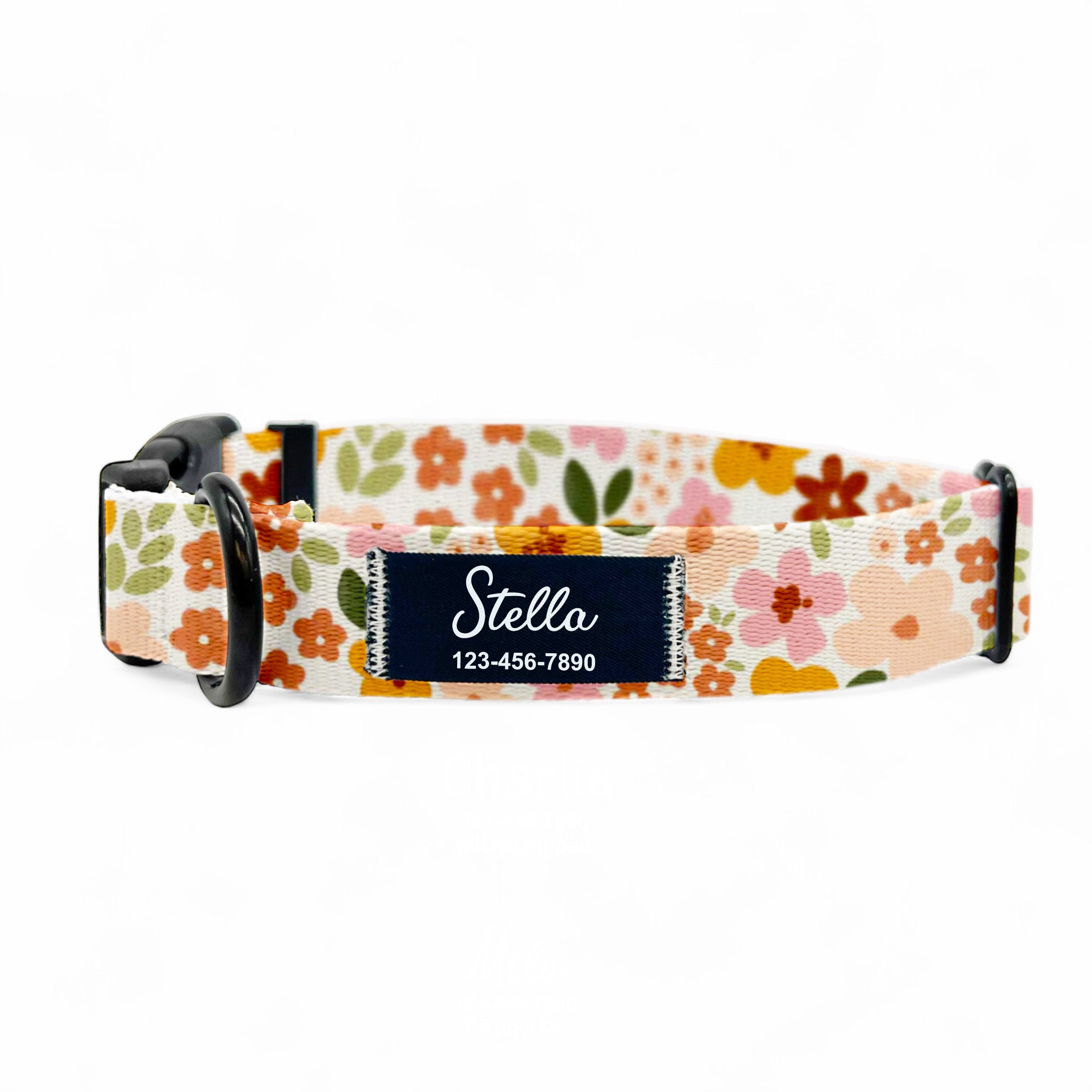 Classic Collar