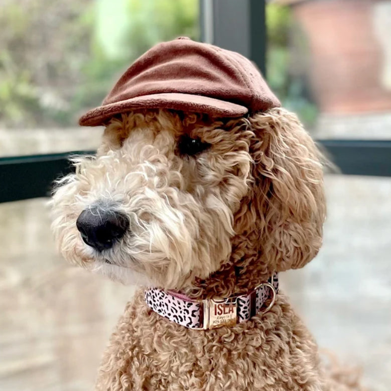 Trusted by thousands of pet parents