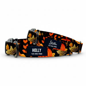Autumn Pumpkin Dog Collar