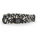 Black Daisy Dog Collar