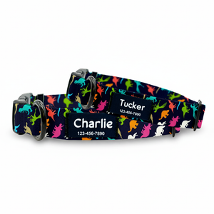 Dino Dog Collar