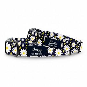Daisy_Dog_Collar