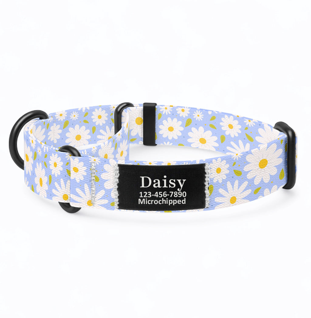 Daisy Martingale Dog Collar