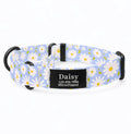 Daisy Martingale Dog Collar