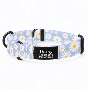 Daisy Martingale Dog Collar