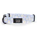 Daisy Dog Collar