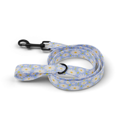 Daisy Dog Leash