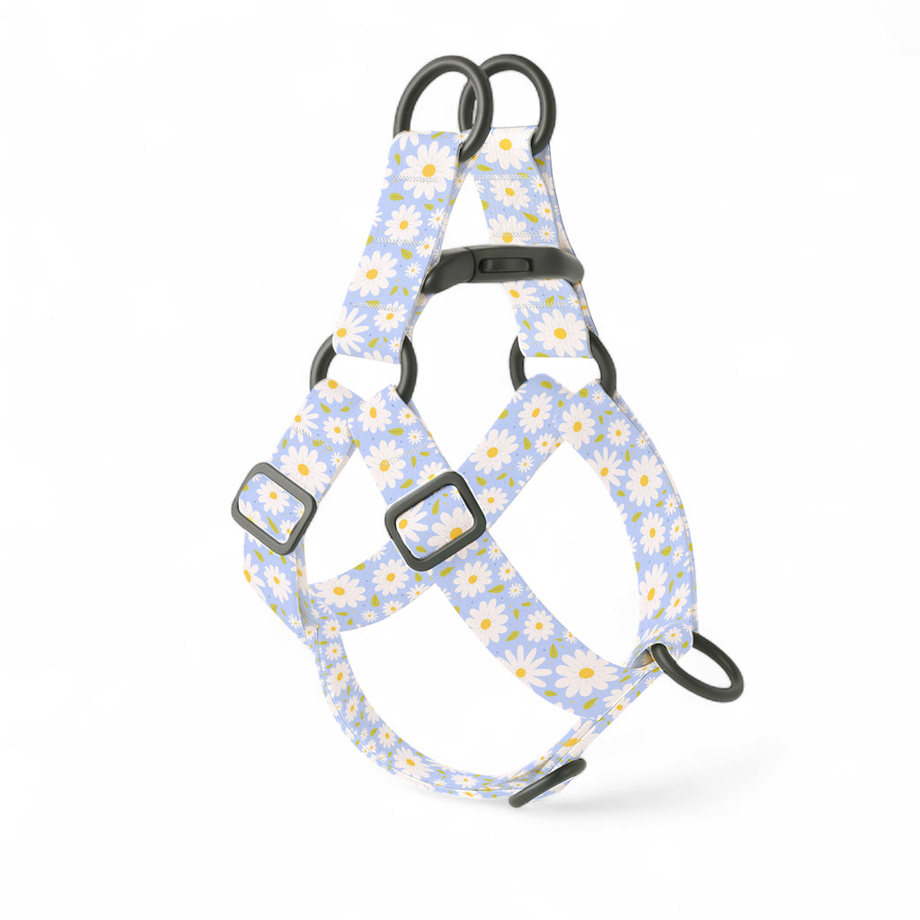 Daisy Step-In Dog Harness
