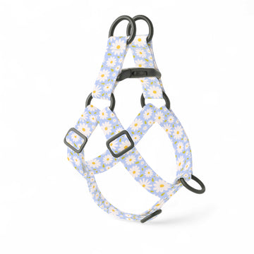 Daisy Step-In Dog Harness
