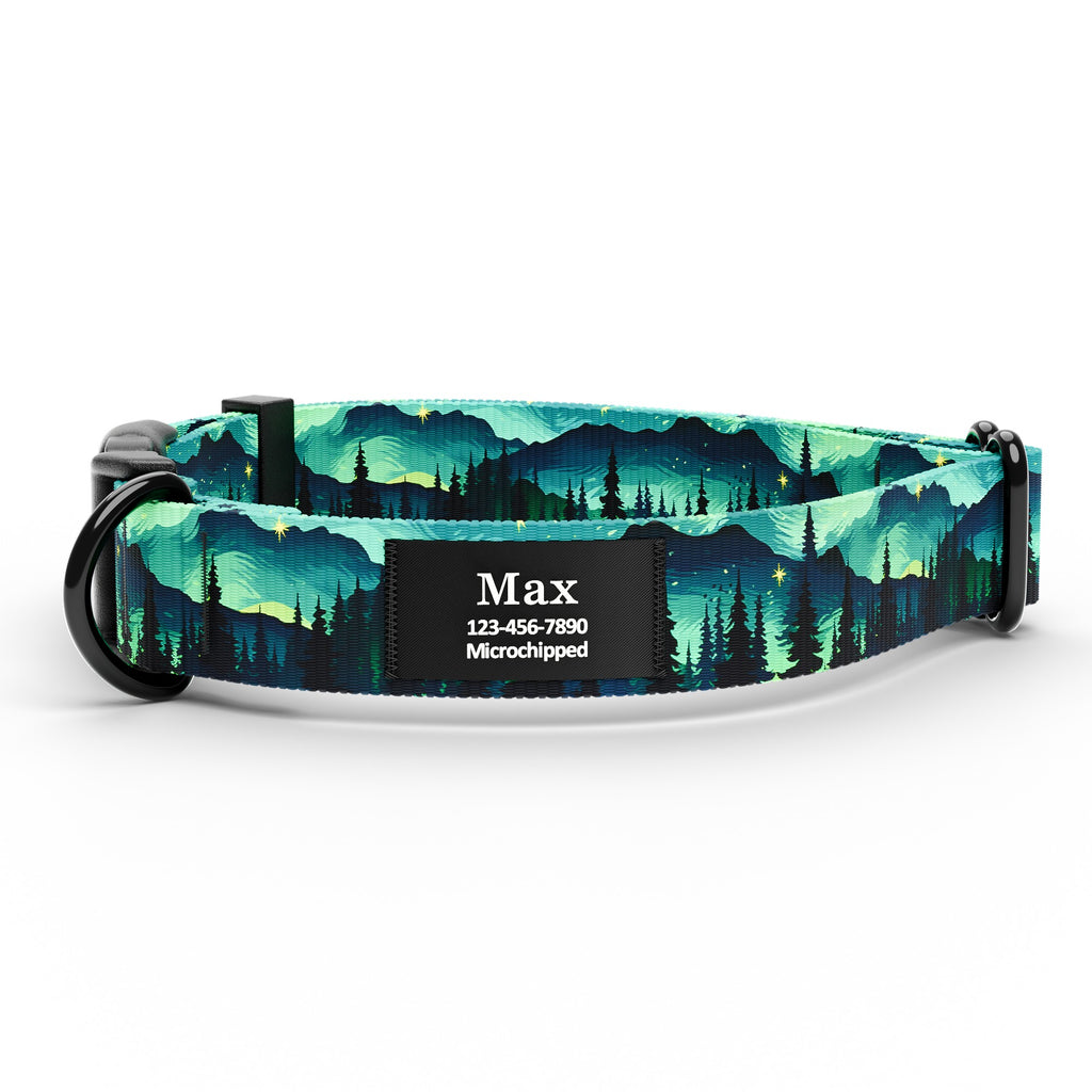 Northern Lights Dog Collar