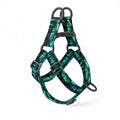 Green Northern Lights Dog Harness