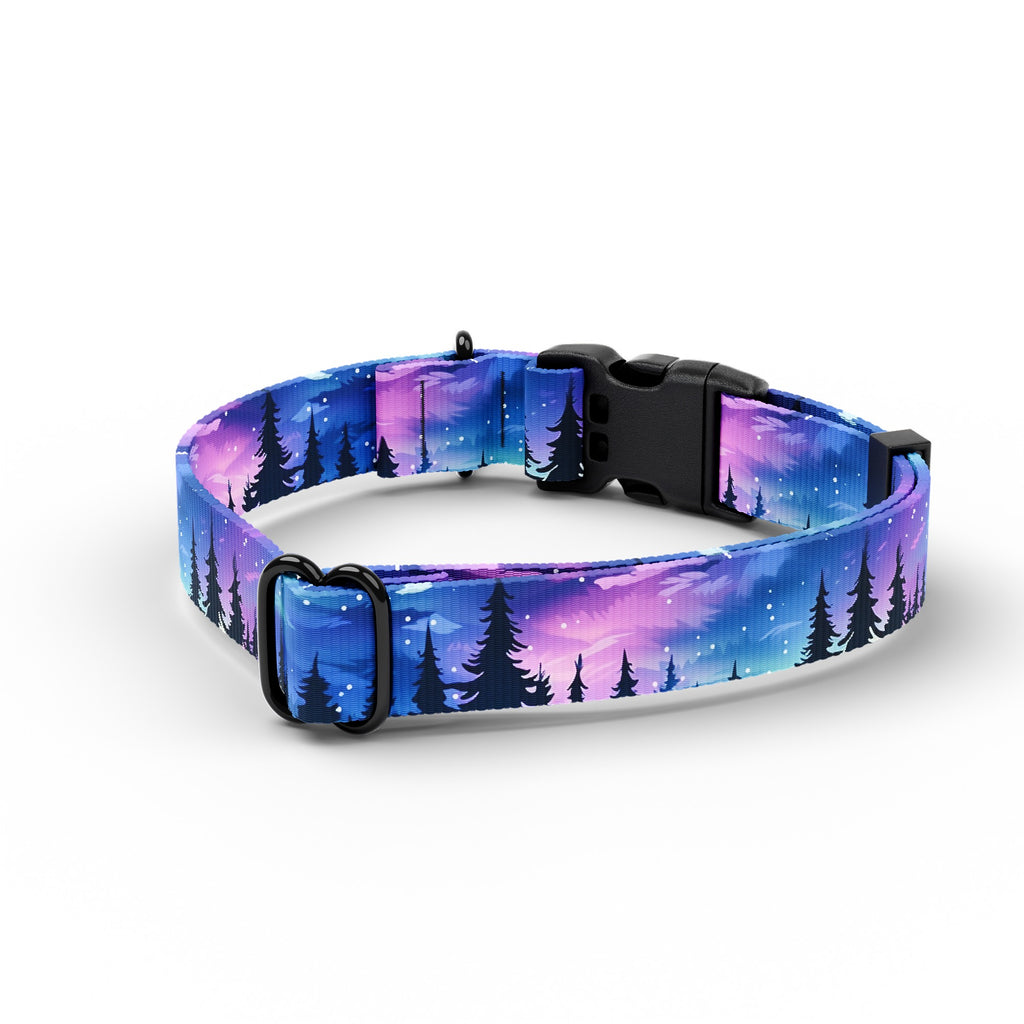 Northern Lights Dog Collar