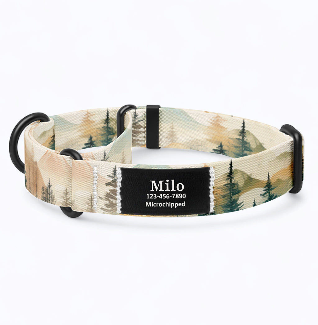 Misty mountain martingale dog collar with name patch