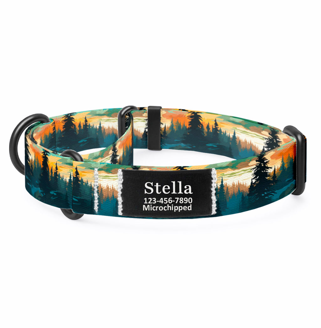 Mountain Lake Martingale Dog Collar