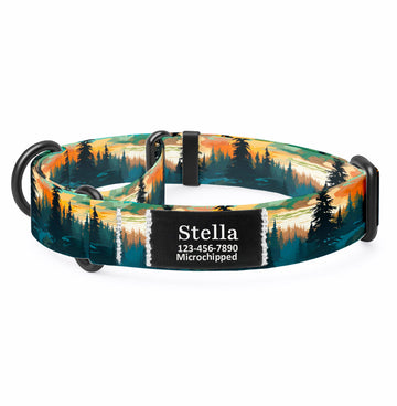 Mountain Lake Martingale Dog Collar