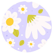 Lavender Daisy Dog Collar