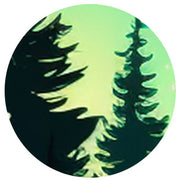Green Forest