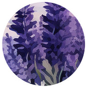 Lavender Field Dog Collar