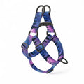 Northern Lights Dog Harness