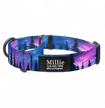 Northern Lights Martingale Dog Collar