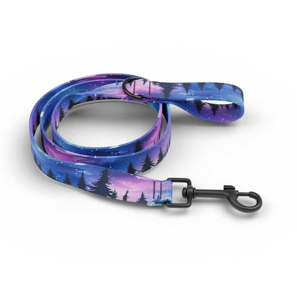 Northern Lights Dog Leash