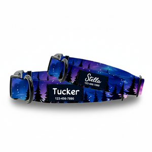 Purple_Forest_Dog_Collar