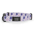 Purple Daisy Dog Collar