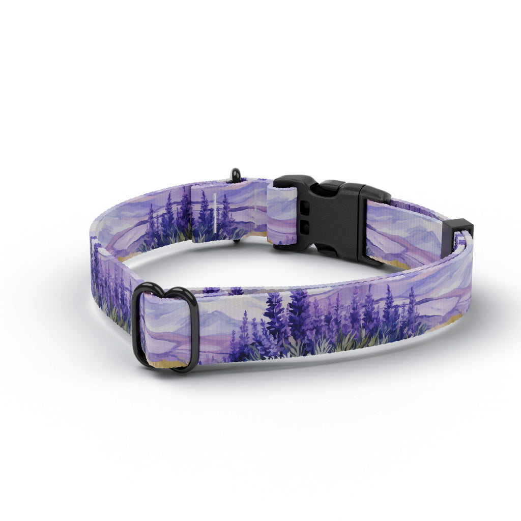 Lavender Field Dog Collar