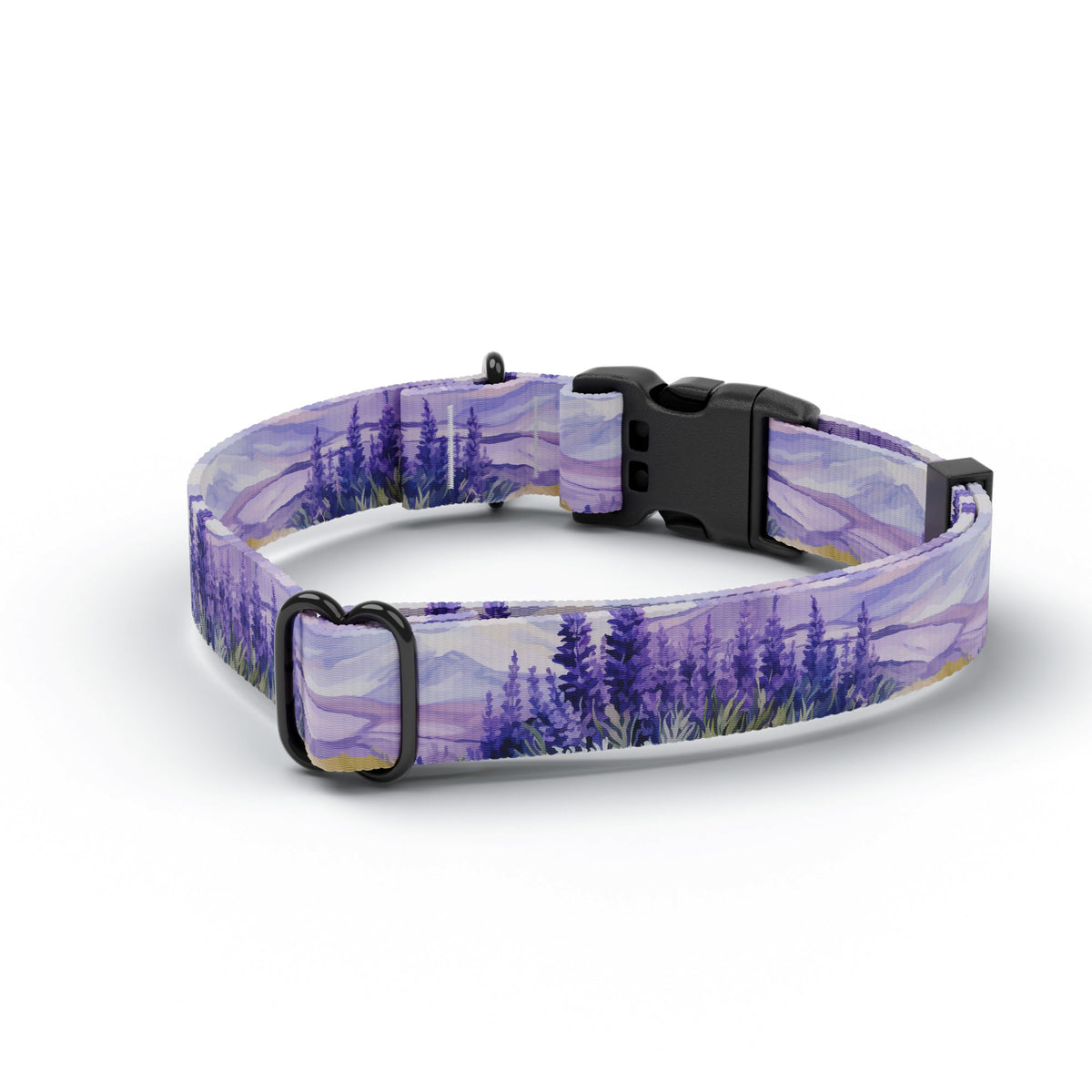 Lavender Field Dog Collar