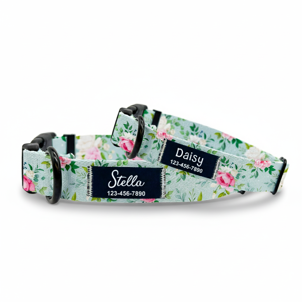 Rose_Dog_Collar