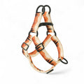 Sunset Mountain Step-In Dog Harness