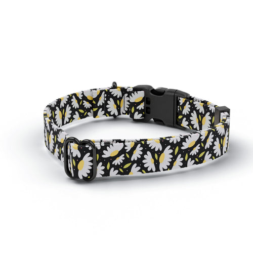 Black Daisy Dog Collar