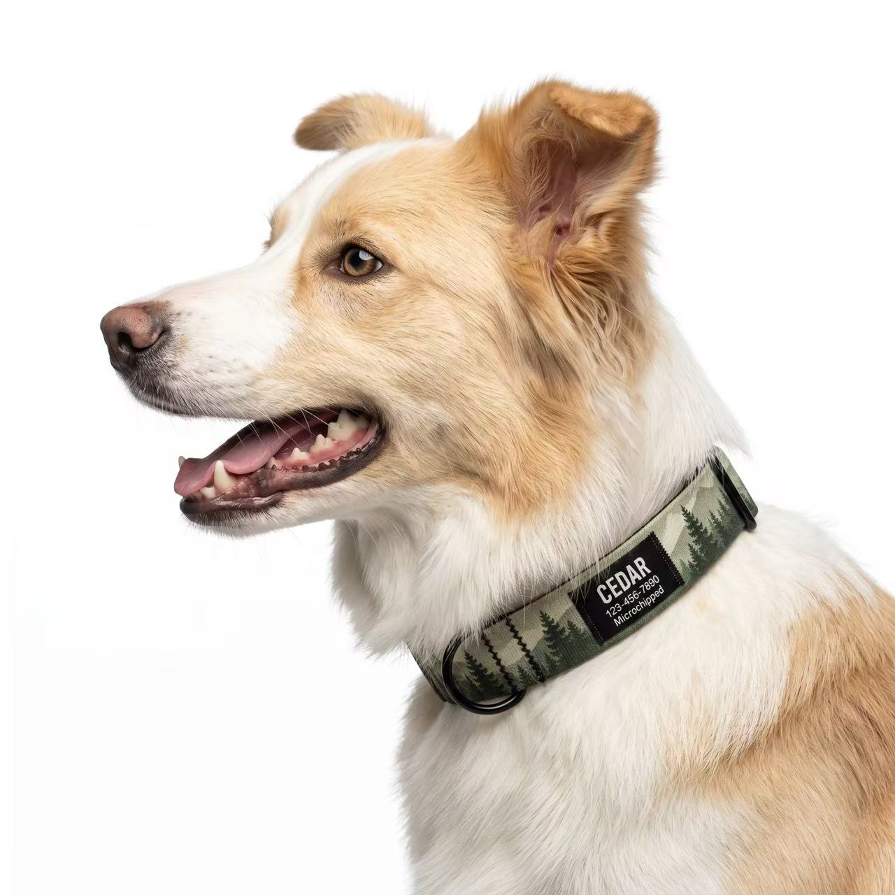 PAWSWIN | Personalized Dog Collars, Harnesses & Leashes
