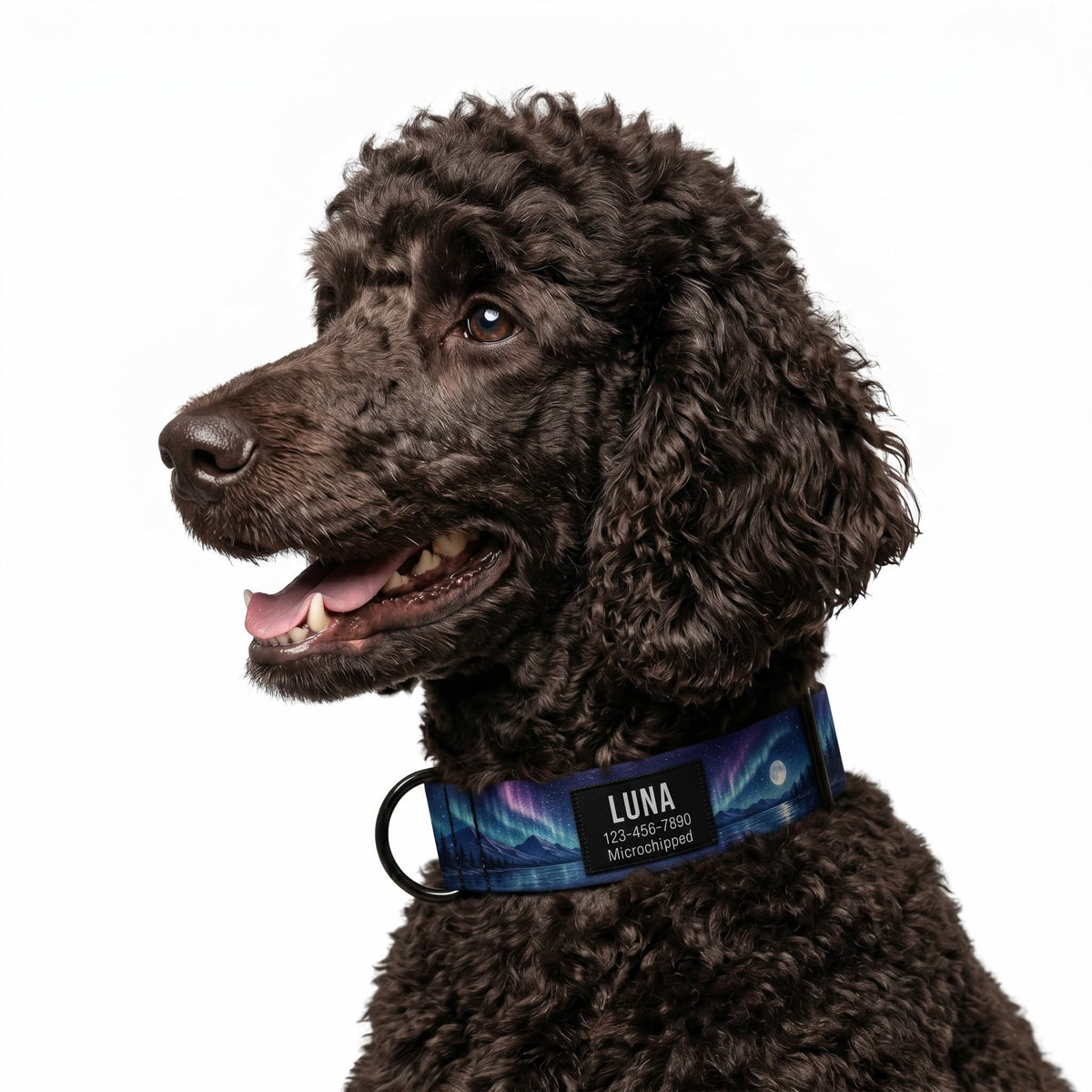 Personalized gear for pets with personality.
