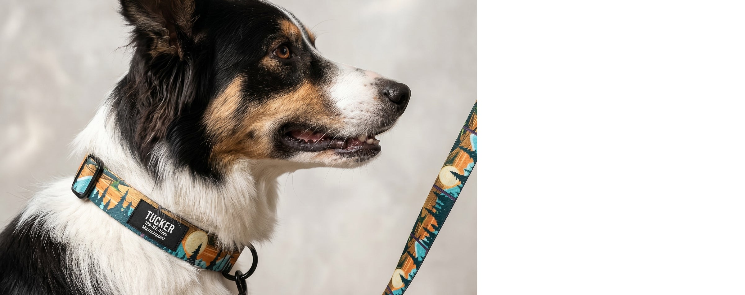 PAWSWIN | Personalized Dog Collars, Harnesses & Leashes