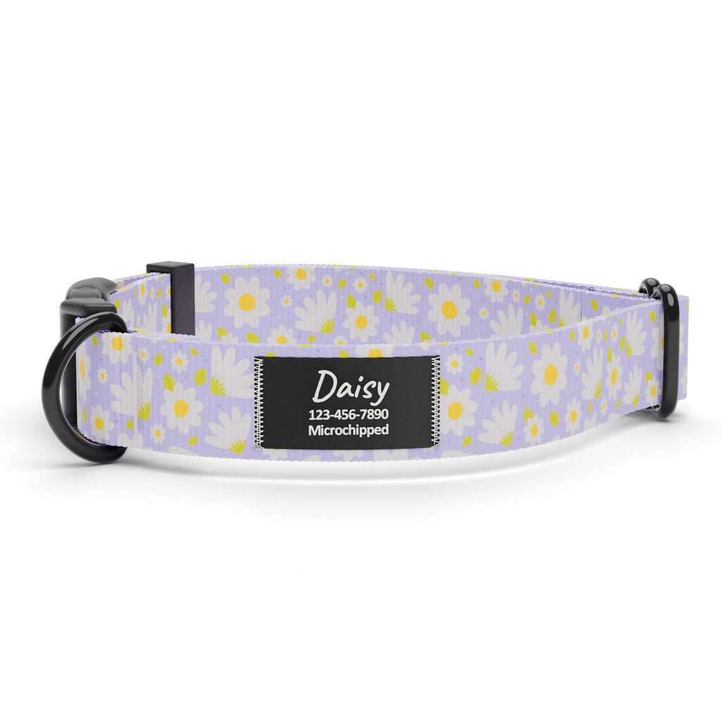 Lavender Daisy Dog Collar