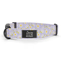 Lavender Daisy Dog Collar